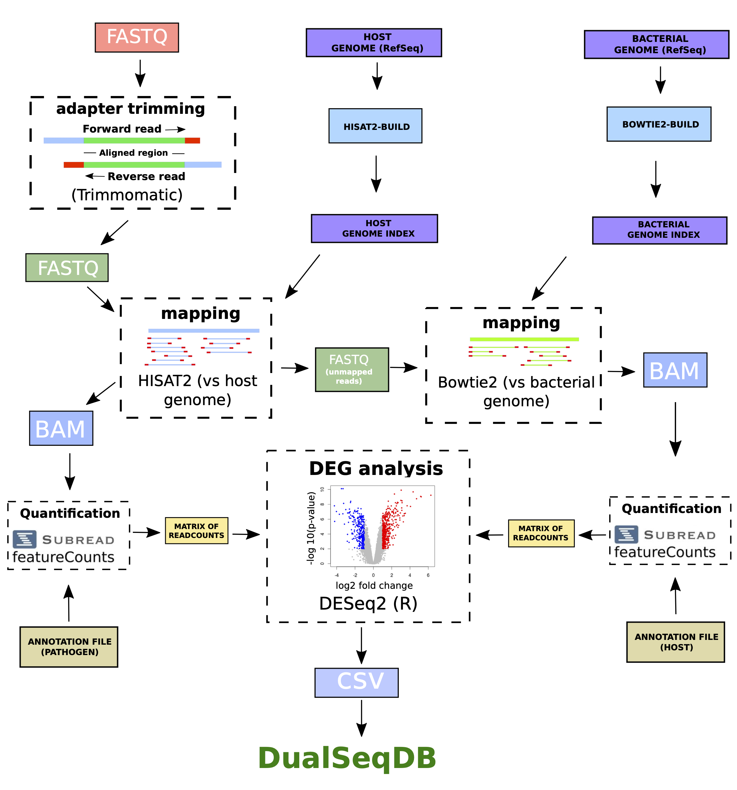Figure 1. Use of transposon sequencing to measure gene fitness in vivo. Figure 1. Use of transposon sequencing to measure gene fitness in vivo.